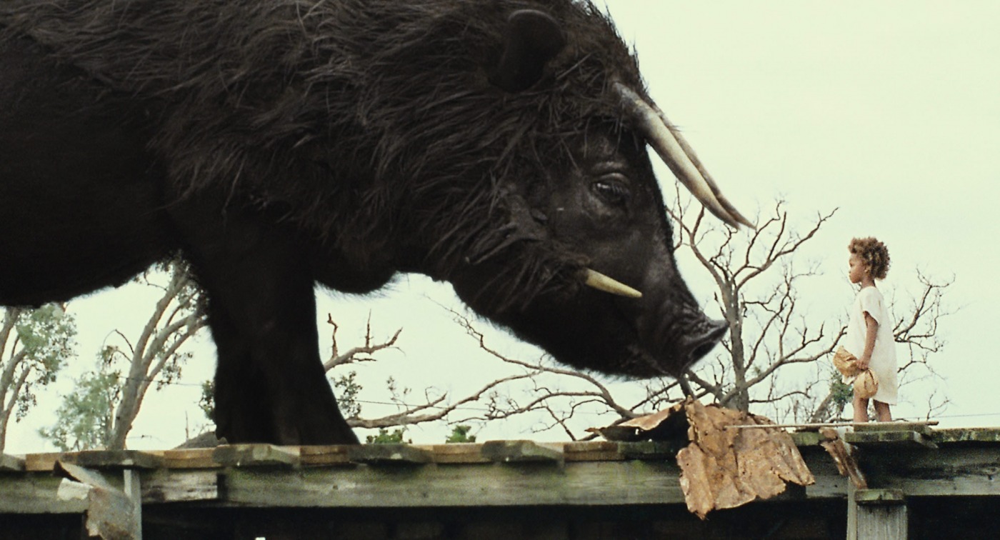 Beasts of the southern wild